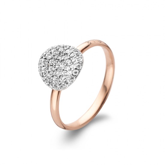 BIGLI Mini Leaves - 18kt bicolor gouden ring met diamant 0.38ct - 609844