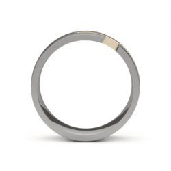 AMICI titanium + naturel witgouden ring - 25717