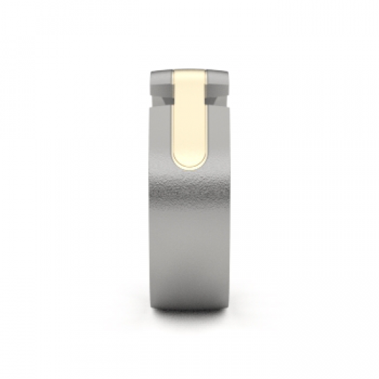 AMICI titanium + naturel witgouden ring - 25717