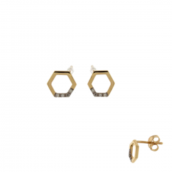 18kt bicolore gouden oorringen met diamant 0.03ct - 21911