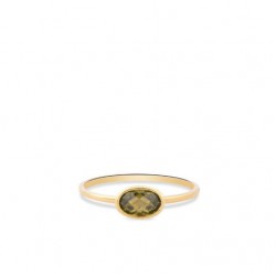 SWING JEWELS 18kt geel gouden ring met zirconium - 23024