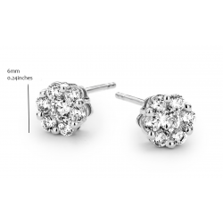 Silver Rose - zilveren oorringen met zirconium - 2494