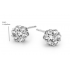 Silver Rose - zilveren oorringen met zirconium - 2494