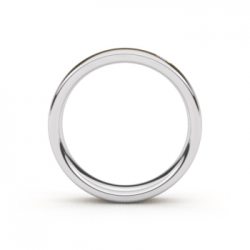 Tessina Staal + 18kt gouden trouwring en diamant - 5123