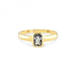 SWING JEWELS - 18kt geelgouden ring met blauwe zirconium - 14002