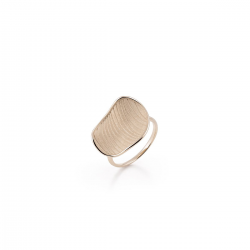 AnnaMaria Cammilli Velvet - 18kt naturale witgouden ring - 14125