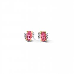 DULCI NEA - 18kt geelgouden oorringen met briljant 0.03ct & saffier 0.49ct - 15045