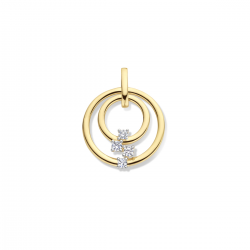 18kt bicolore gouden hanger met diamant 0.17ct - 16242