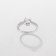 18kt witgouden ring met briljanten 0.27ct - 15872