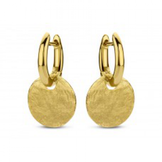 18kt geelgouden oorringen - 39213