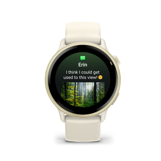 Garmin Vivoactive 6 smartwatch - 39316