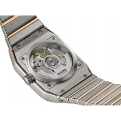 Rado Anatom skelet - 40184