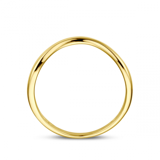 14kt gouden ring - 40187