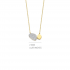 Silver Rose - zilveren halsketting met zirconium - 40372