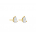 Flawless - 18kt gouden oorringen met labo diamanten 0.66ct - 40421