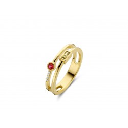 NAIOMY MOMENTS goldplated ring met 2 kleurstenen - 612306