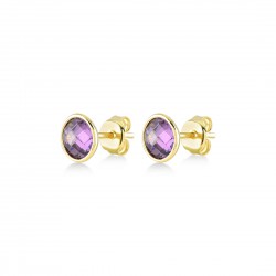 SWING JEWELS - 18kt geelgouden oorringen met paarse zirconium - 611500